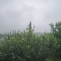 Webcam_20210624-114500