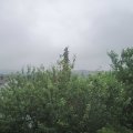 Webcam_20210624-120000