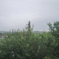 Webcam_20210624-141500