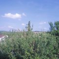 Webcam_20210625-170000