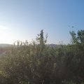Webcam_20210626-051500