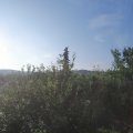 Webcam_20210626-060000
