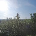 Webcam_20210626-071500