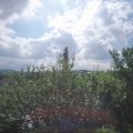 Webcam_20210626-091500