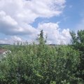 Webcam_20210626-141500