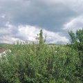 Webcam_20210626-164500