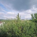 Webcam_20210626-171500