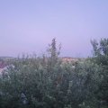 Webcam_20210626-210000