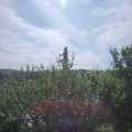 Webcam_20210627-091500