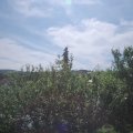 Webcam_20210627-093000