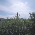 Webcam_20210627-100000