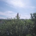 Webcam_20210627-101500
