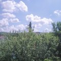Webcam_20210627-113000