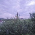 Webcam_20210627-201500