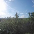 Webcam_20210628-070000