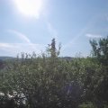 Webcam_20210628-081500