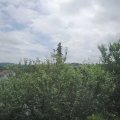 Webcam_20210629-104500