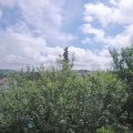 Webcam_20210629-113000