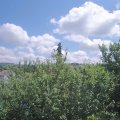Webcam_20210629-120000
