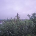 Webcam_20210630-051500