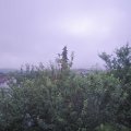 Webcam_20210630-053000