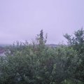 Webcam_20210630-054500