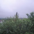 Webcam_20210630-080000
