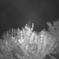 Webcam_20210630-214500