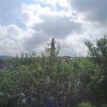Webcam_20210702-093000