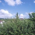 Webcam_20210702-154500