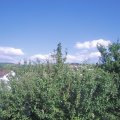 Webcam_20210702-161500