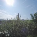 Webcam_20210703-081500