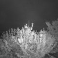 Webcam_20210704-214500