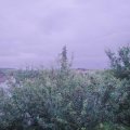 Webcam_20210705-210000
