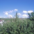 Webcam_20210707-161500