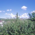 Webcam_20210707-163000