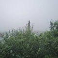 Webcam_20210708-160000