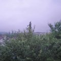 Webcam_20210709-051500
