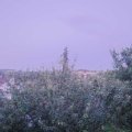 Webcam_20210710-210000
