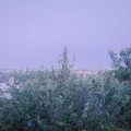 Webcam_20210711-210000
