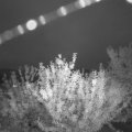 Webcam_20210713-211500