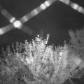 Webcam_20210715-214500