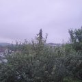 Webcam_20210717-051500