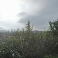 Webcam_20210717-073000