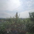 Webcam_20210717-093000