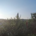 Webcam_20210718-060000