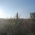 Webcam_20210718-061500