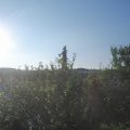 Webcam_20210718-063000