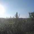 Webcam_20210718-064500
