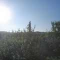 Webcam_20210718-070000